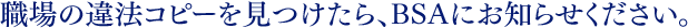 職場の違法コピーを見つけたら、BSAにお知らせください。